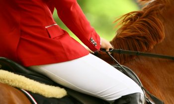 Victime de chute de cheval : dois-je intervenir ou attendre l’ambulance ?