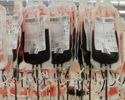 Transport de sang : quelles sont les règles ?